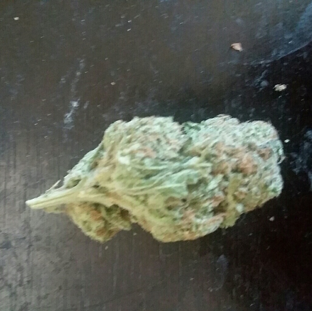 Meet your Posher, Filbert